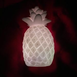 Color Changing Pineapple Decor